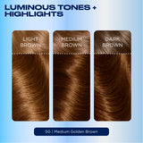 Clairol Nice'N Easy 5G permanent hair dye medium golden brown, UK version
