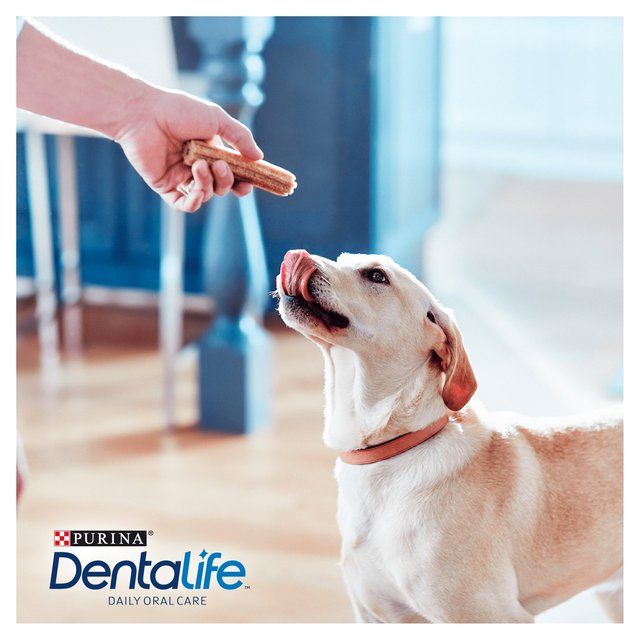 Dentalife Large Dental Chicken Dog Chews   12 per pack GOODS M&S   