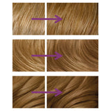 Clairol Nice'n Easy Tone+Gloss dark brown hair dye - British product