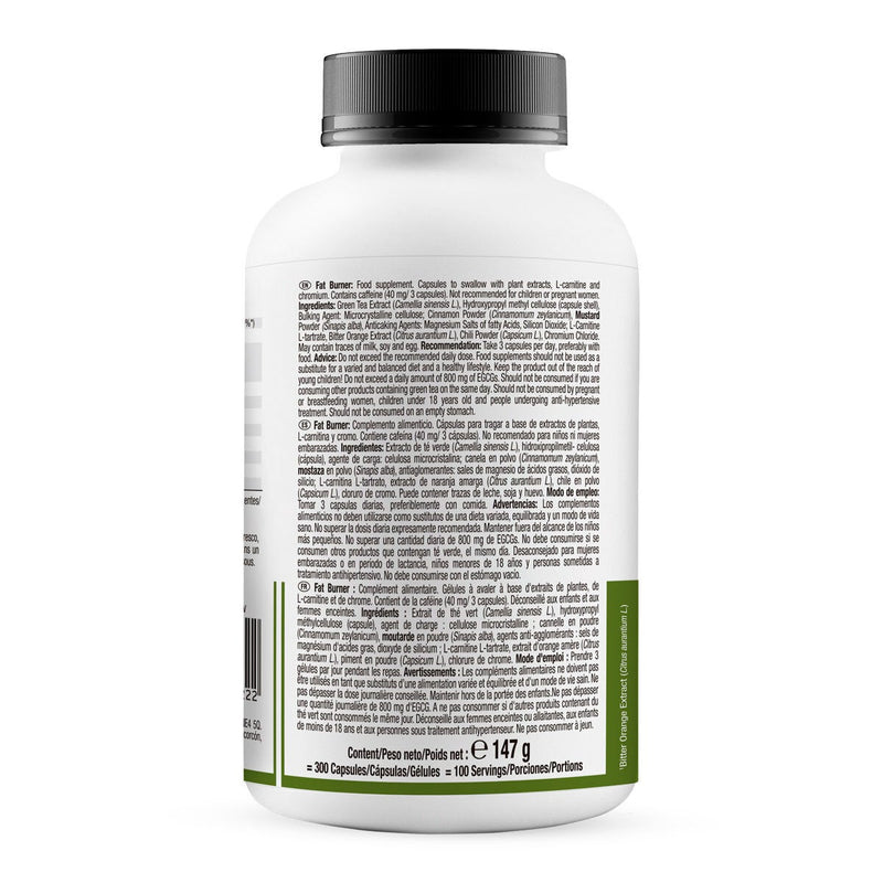 Weider Fat Burner 300 capsules, imported from the UK