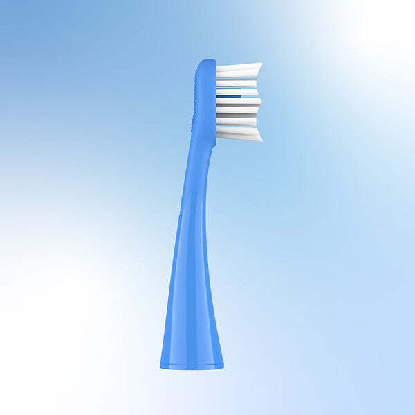Ordo Sonic Brush Head Arctic Blue 2 Pack (British brand)