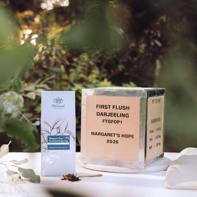 Margaret's Hope 2026 First Flush Darjeeling loose leaf tea 100g - British product
