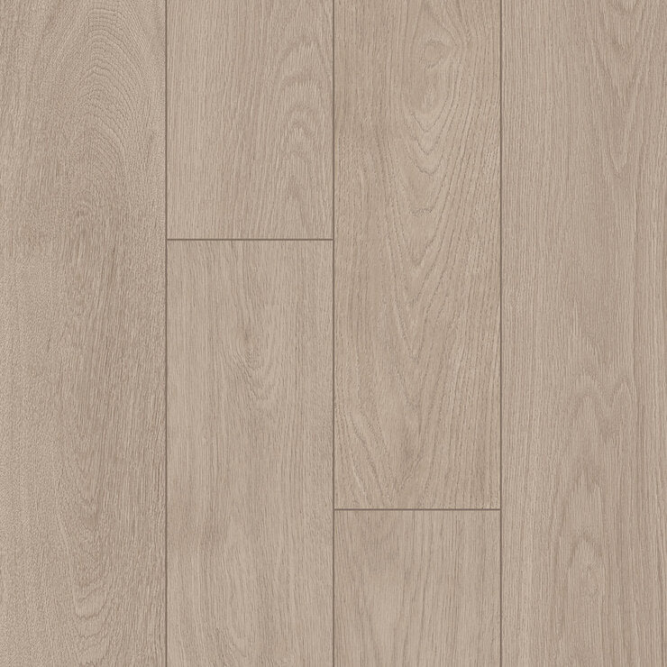 Golden Select Easton Oak AC5 laminate flooring pack - British product