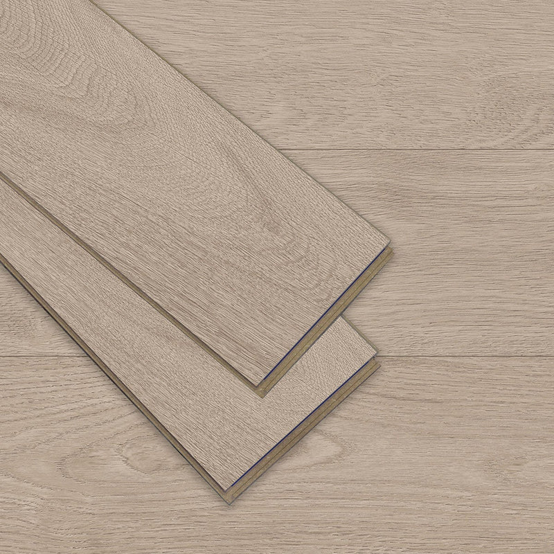 Golden Select Easton Oak AC5 laminate flooring pack - British product