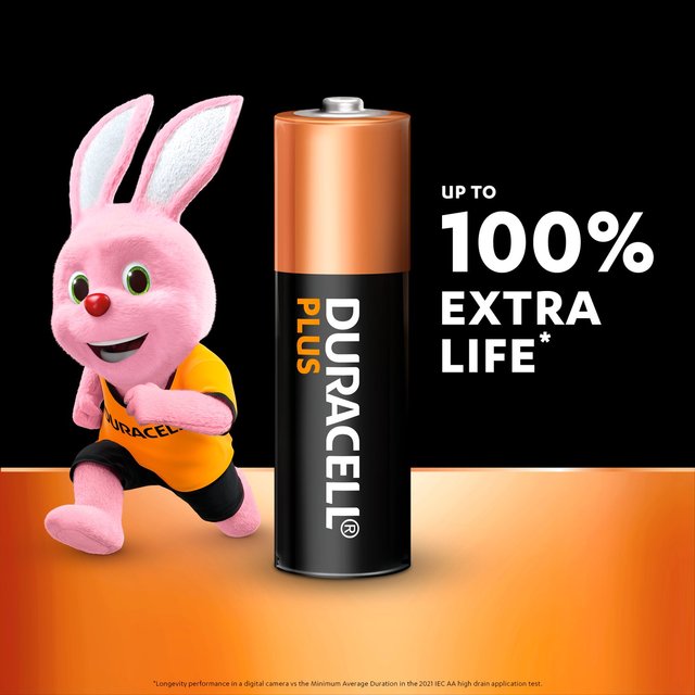 Duracell Plus 100% AA Alkaline Batteries   24 per pack GOODS M&S   