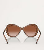Swarovski acetate sunglasses SK6026 (British brand)