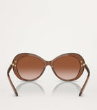 Swarovski acetate sunglasses SK6026 (British brand)