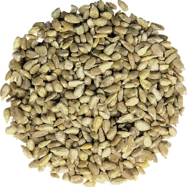 National Trust CJ Wildlife Premium Sunflower Hearts Wild Bird Food   1.6kg