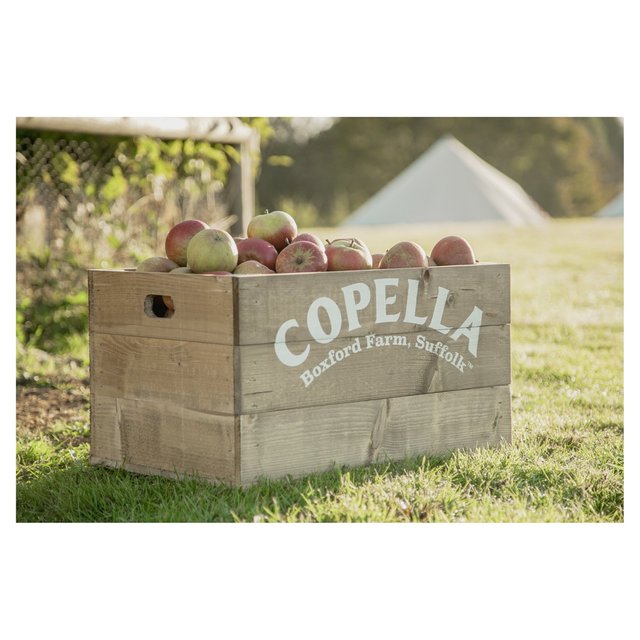 Copella Apple & Pear Fruit Juice   1.35L GOODS M&S   