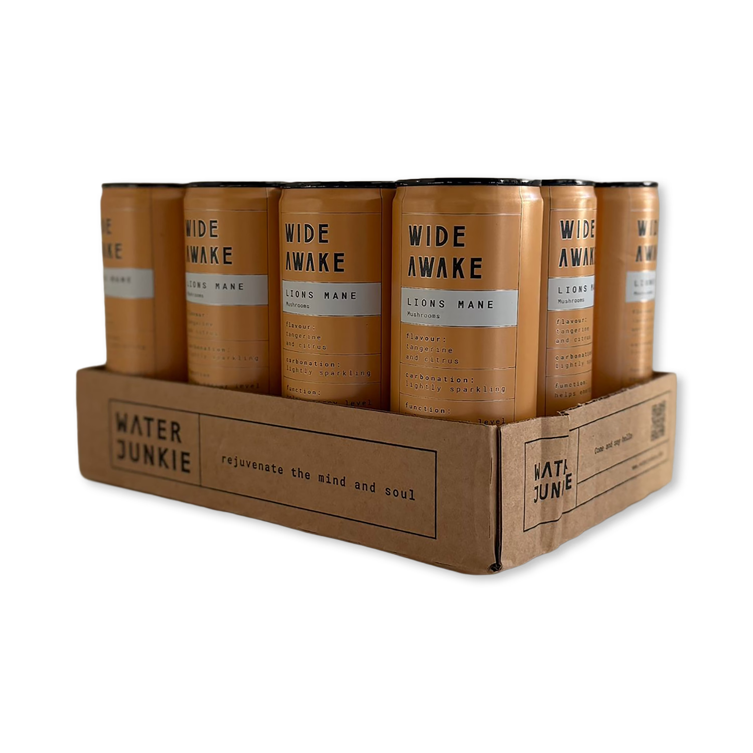 Water Junkie Lion's Mane sparkling drink 250ml cans 12 pack, UK version