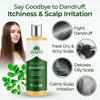 Ayumi anti-dandruff scalp shampoo 250ml, imported from the UK