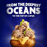 Princes tuna chunks in spring water 4 x 145g - British product