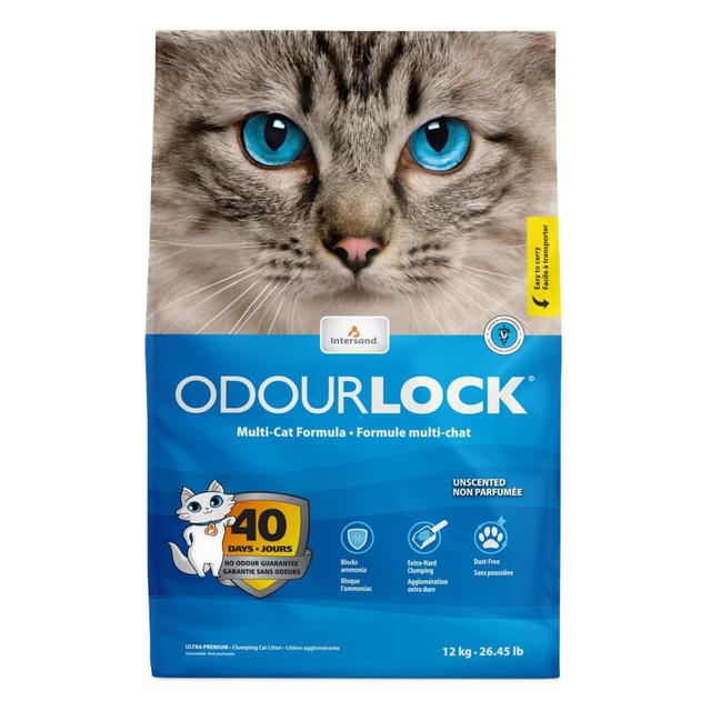 Intersand Odourlock Clumping Cat Litter   12kg