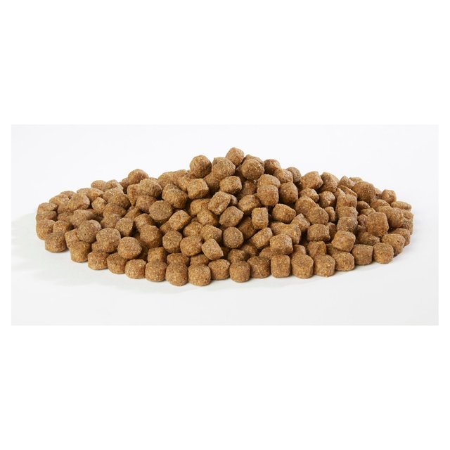 Harrington's Rich In Salmon & Potato Dry Dog Food   12kg GOODS M&S   