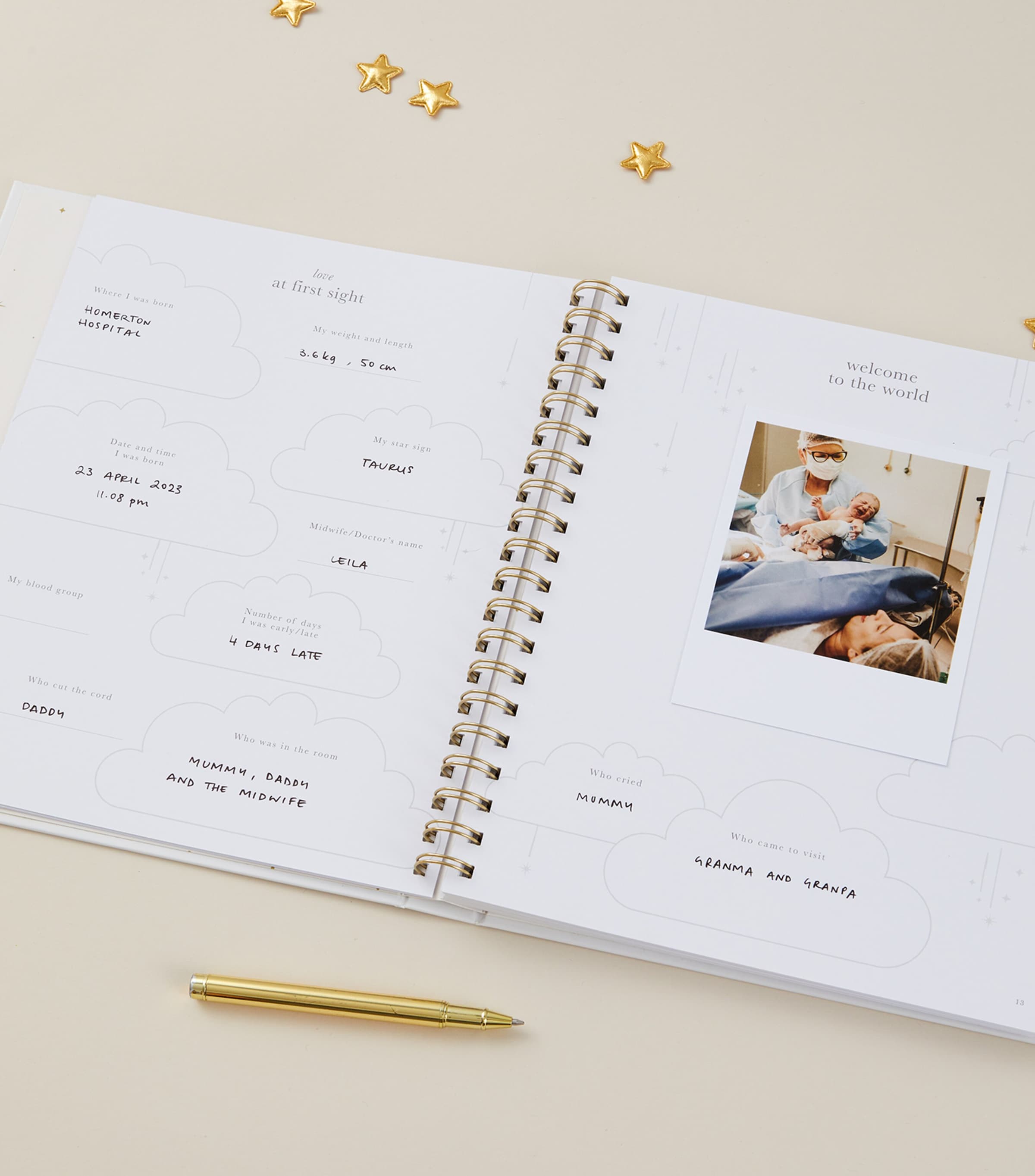 Blush and Gold safari baby memory book - British product