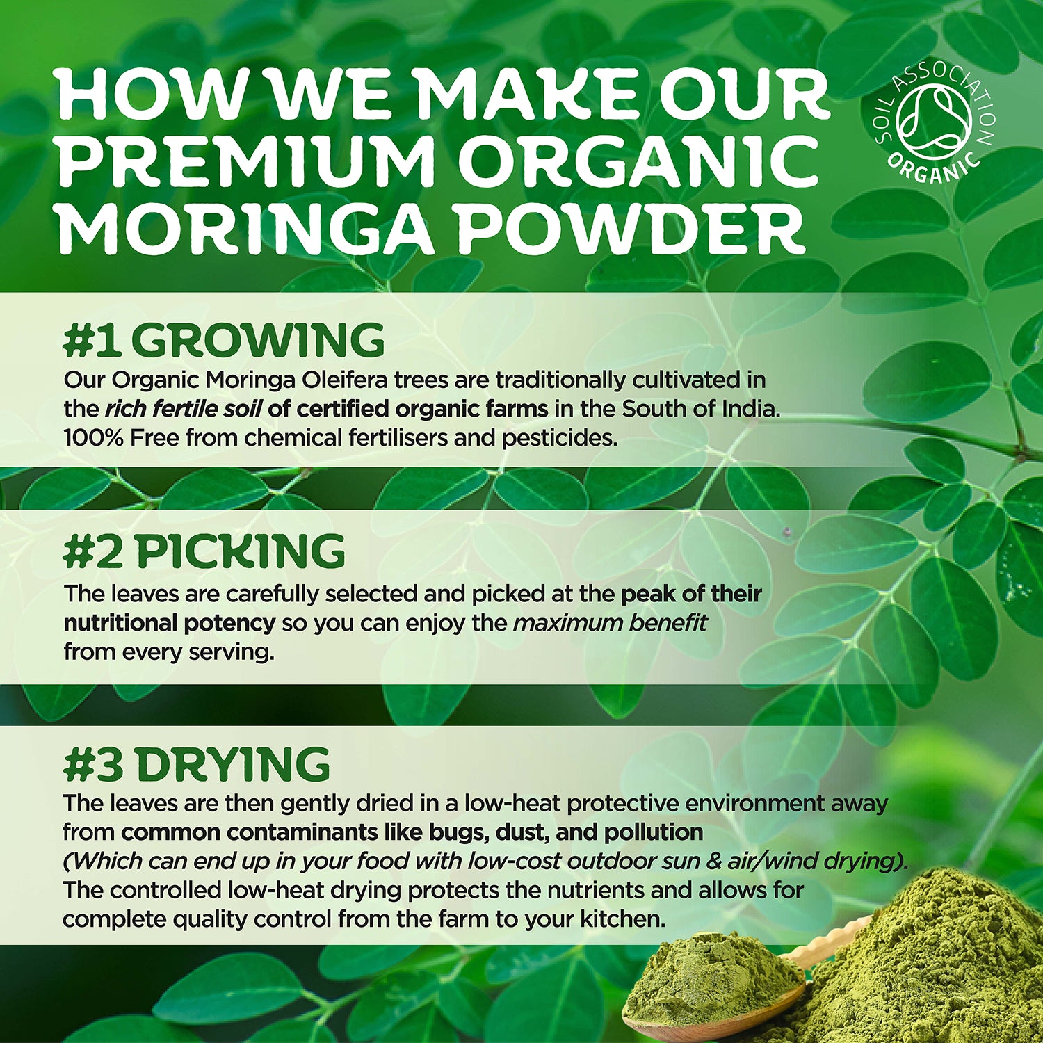 Inner Vitality organic moringa powder 300g (British brand)