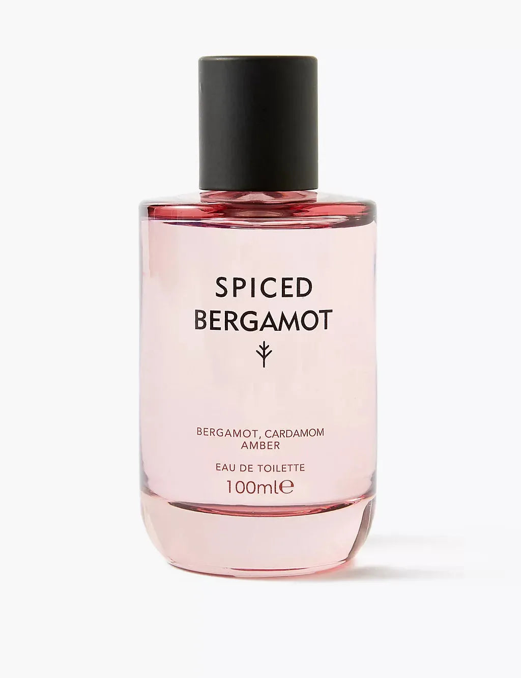 Spiced Bergamot Eau de Toilette 100ml Perfumes, Aftershaves & Gift Sets M&S   