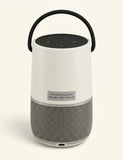 Bose portable home speaker Bluetooth voice control - British product