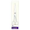 Superdrug Hairdressers Standard Scissors (British brand)