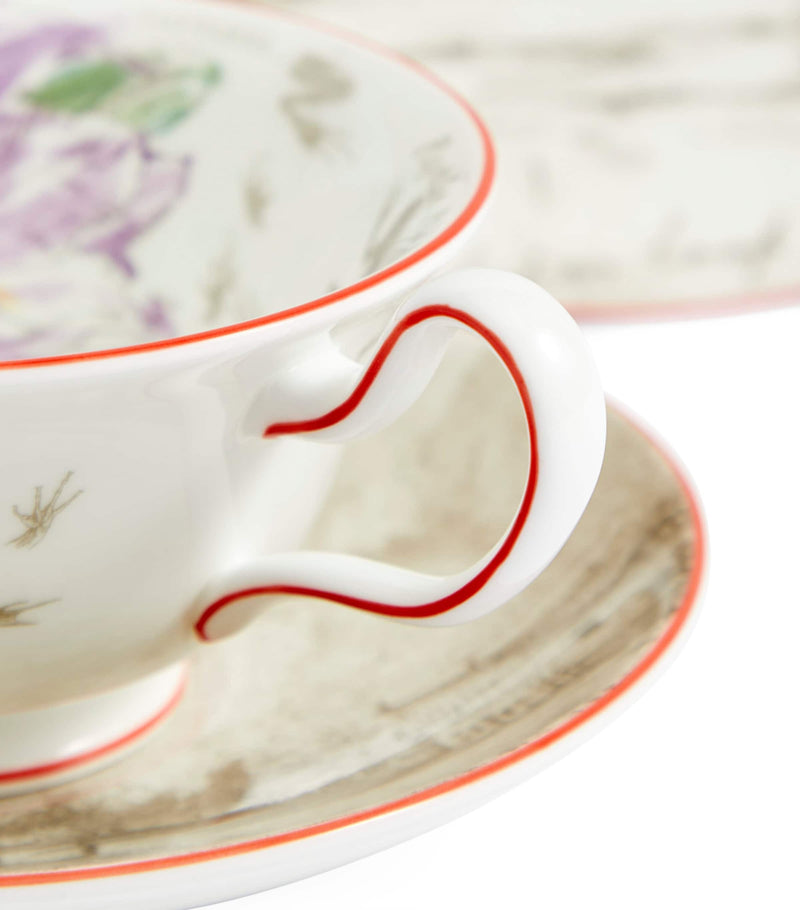 Wedgwood Voyage of the Beagle Brazil bone china set (British brand)
