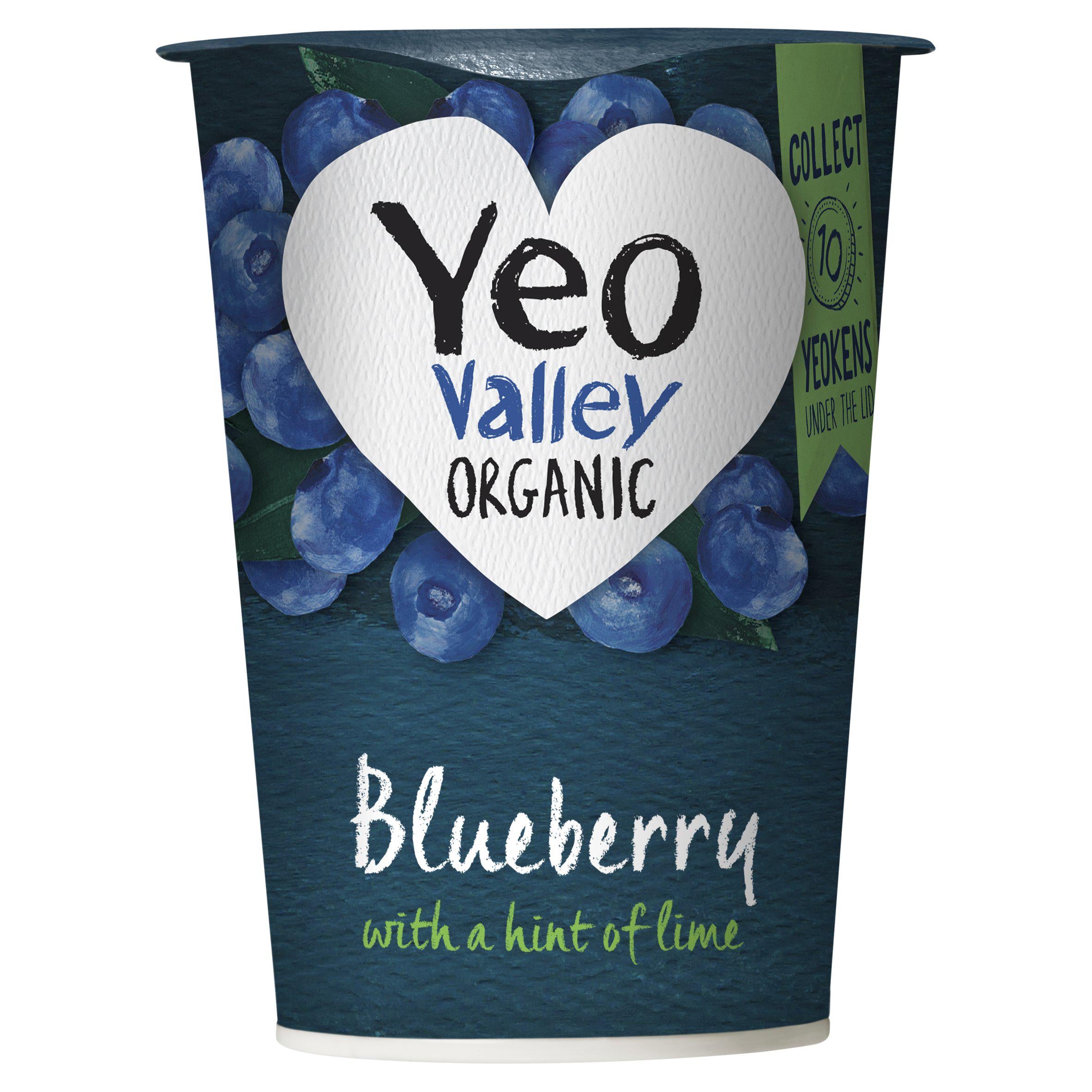 Yeo Valley Organic Blueberry & Lime Yogurt 450g GOODS Sainsburys   