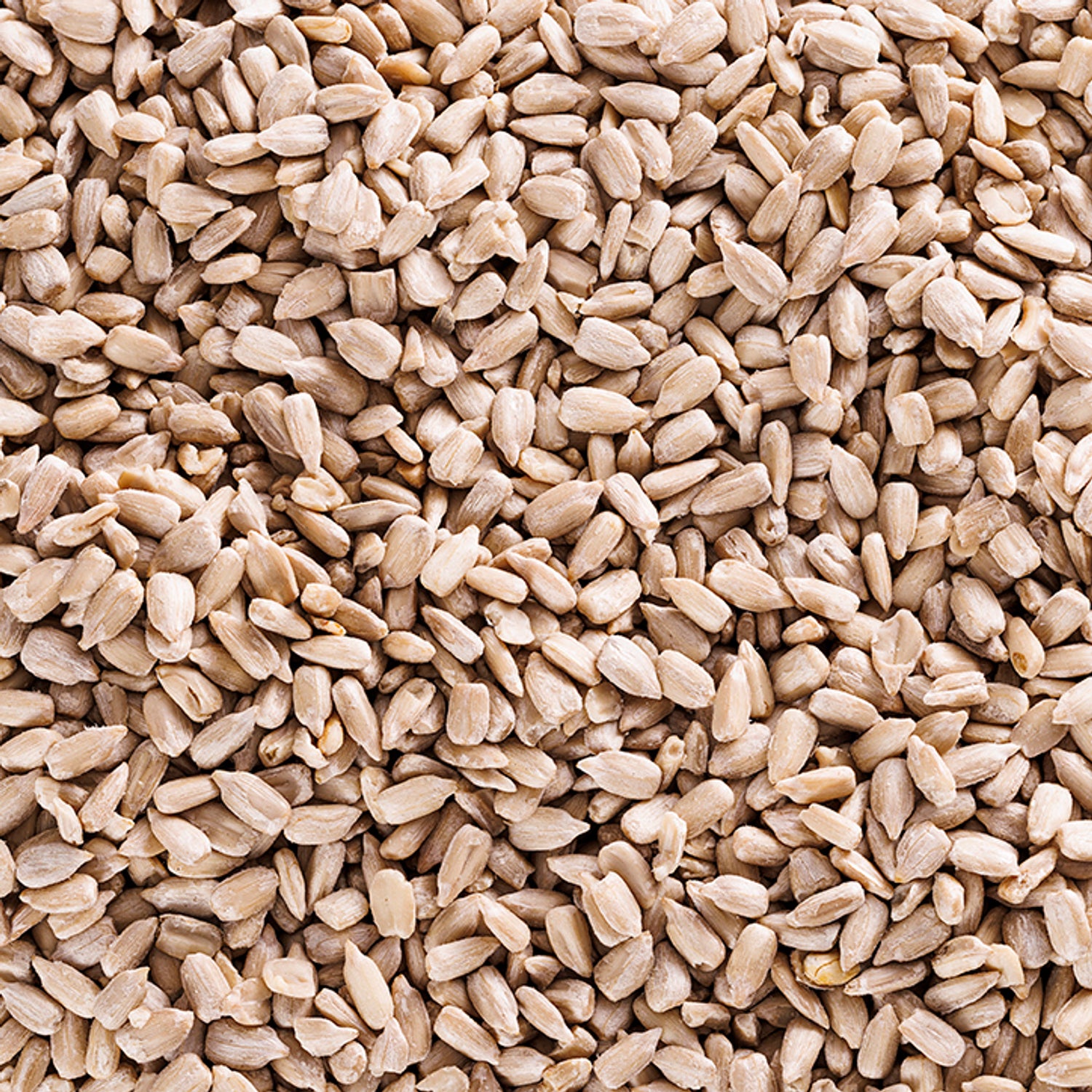Holland & Barrett Organic Sunflower Seeds 500g, UK version