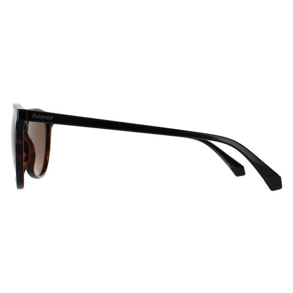 Polaroid sunglasses brown, UK version
