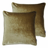 Paoletti gold velvet cushion 2 pack 55 cm, British brand