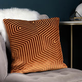 Paoletti Evoke velvet feather cushion 45x45 cm 2 pack, imported from the UK