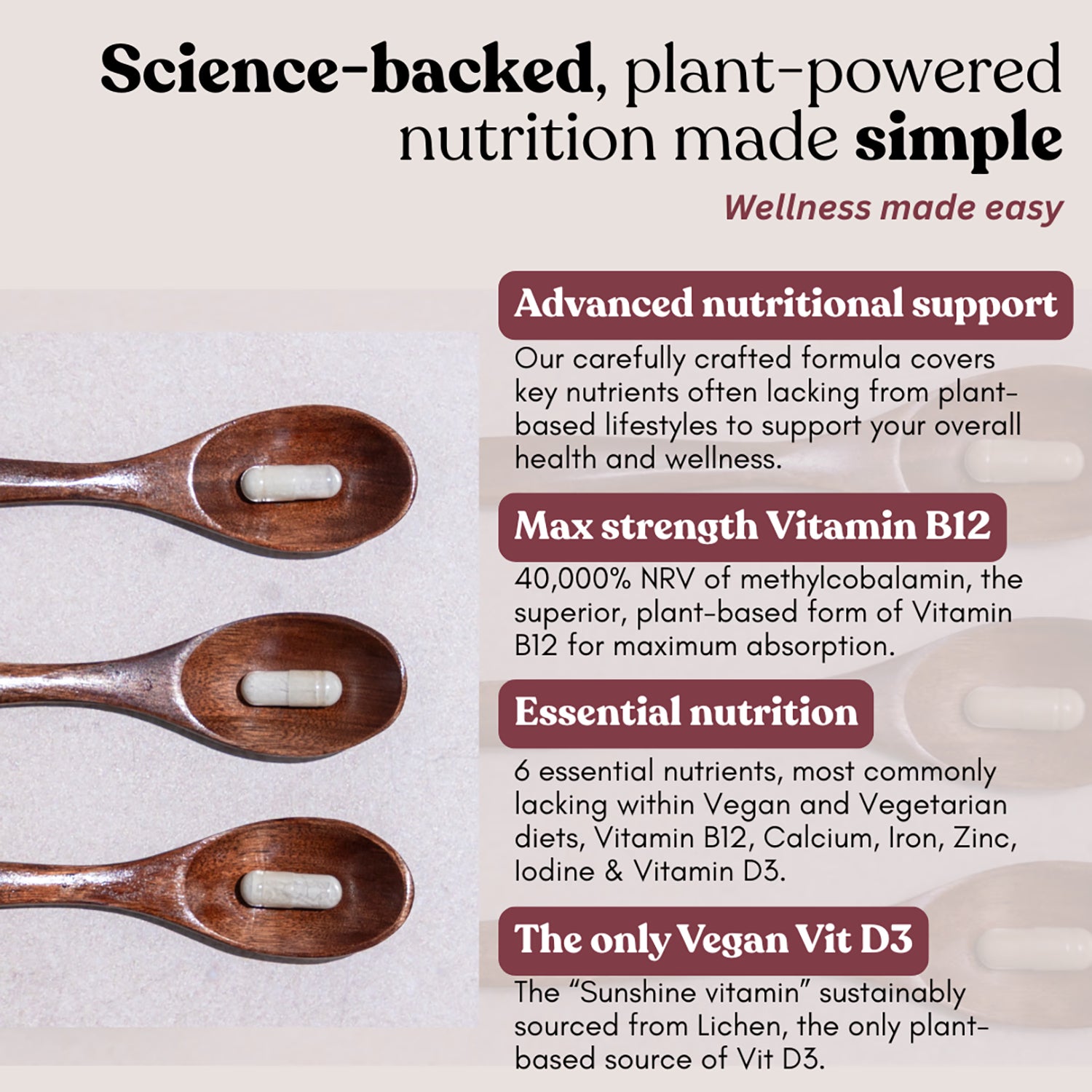 Vegan Wellness Co. multivitamin 60 capsules - British product