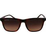 Lacoste brown L6041S sunglasses with propionate frame (British brand)