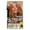Garnier Nutrisse BlondeLift Chestnut Blonde permanent hair dye, UK version