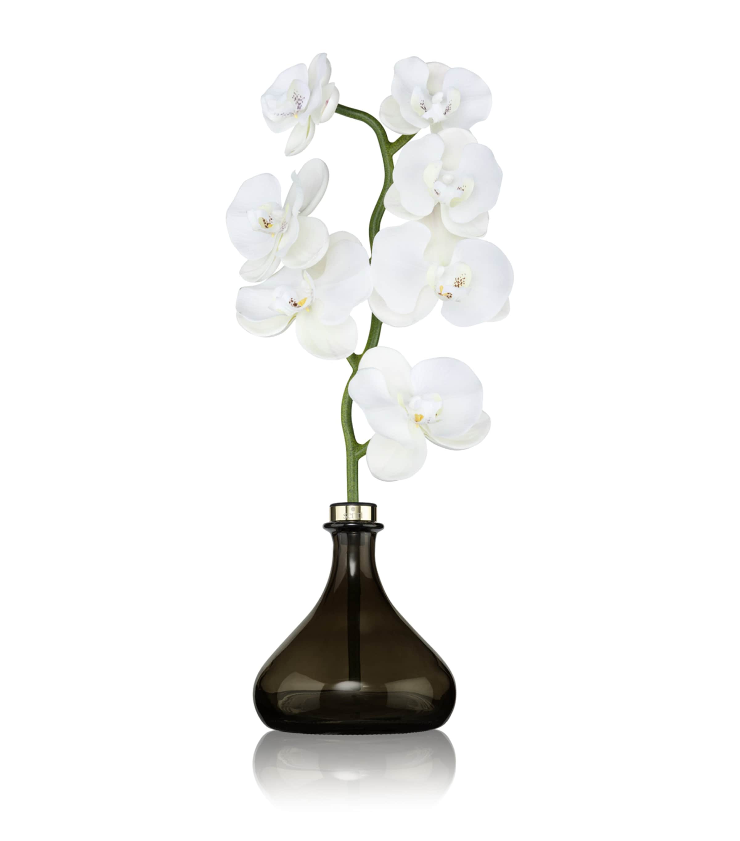 Senti Orchid Jasmine and Geranium diffuser 250ml (British brand)