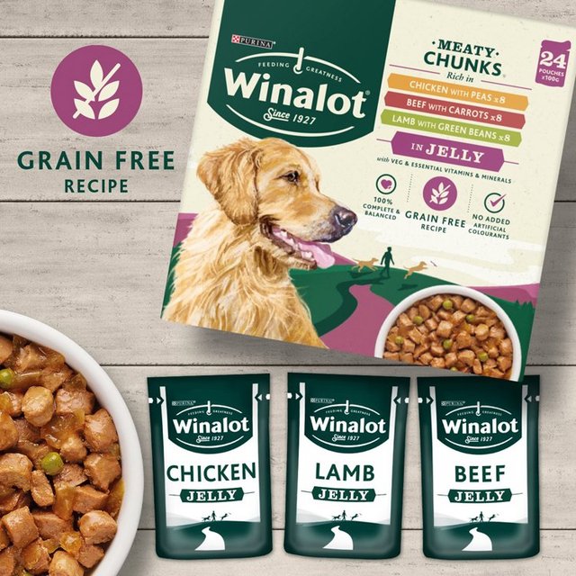 Winalot Meaty Chunks Mixed in Jelly Wet Dog Food    24 x 100g GOODS M&S   