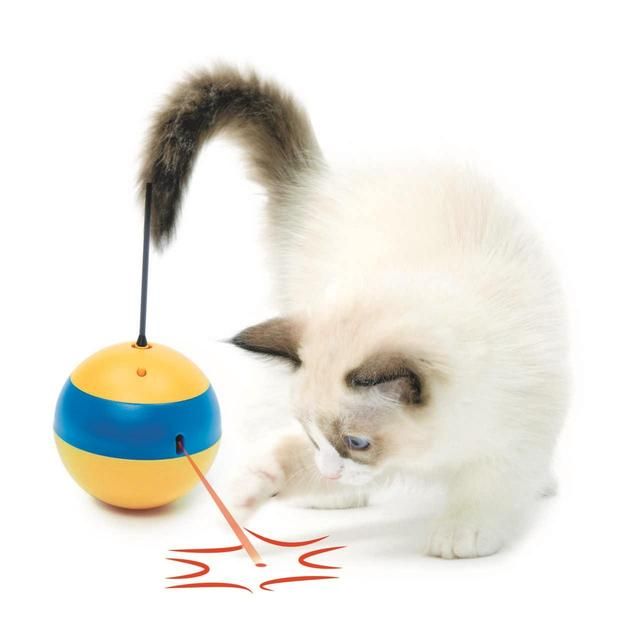 Catit Play Tumbler Bee Cat Toy GOODS M&S   