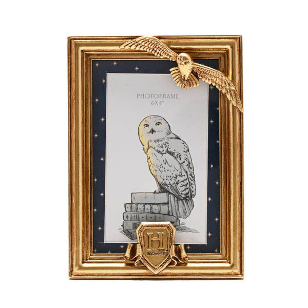 Warner Bros Harry Potter Hedwig alumni gold photo frame, UK version