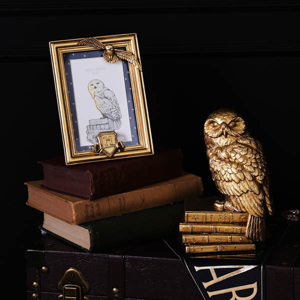 Warner Bros Harry Potter Hedwig alumni gold photo frame, UK version