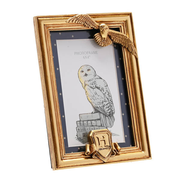 Warner Bros Harry Potter Hedwig alumni gold photo frame, UK version
