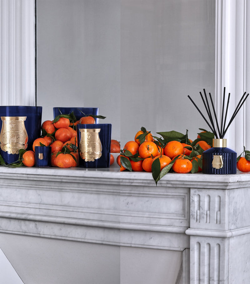 Cire Trudon Reggio diffuser Mandarin Mimosa 300ml, imported from the UK