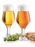 Jeray Beer Glasses 600 ml, UK version