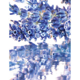 Guerlain Mon Guerlain eau de parfum - British product