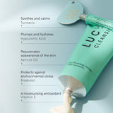 Lucy Bee organic cream cleanser 125ml, UK version
