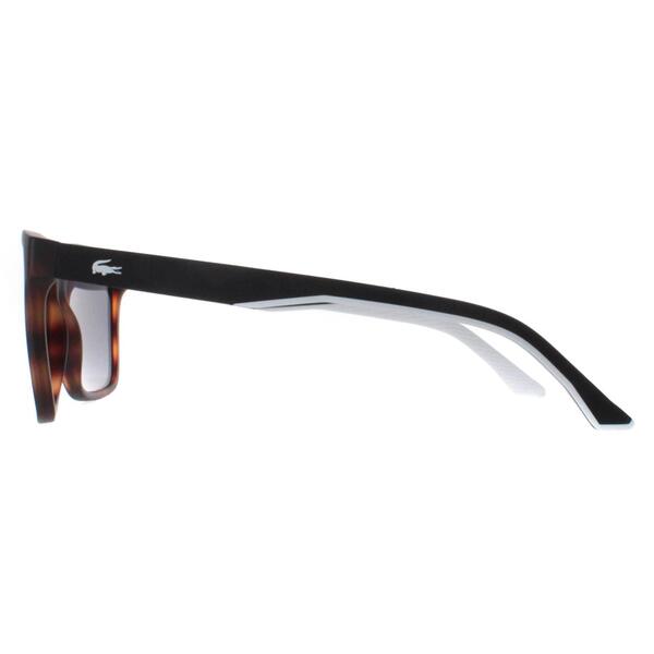 Lacoste L972S matte havana grey men sunglasses (British brand)