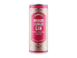 Ready-to-drink rhubarb and ginger gin can 250ml, UK version