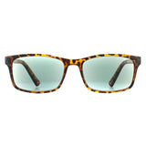 Montana MR73AS brown reading sunglasses +1.00, UK version