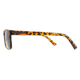 Montana MR73AS brown reading sunglasses +1.00, UK version
