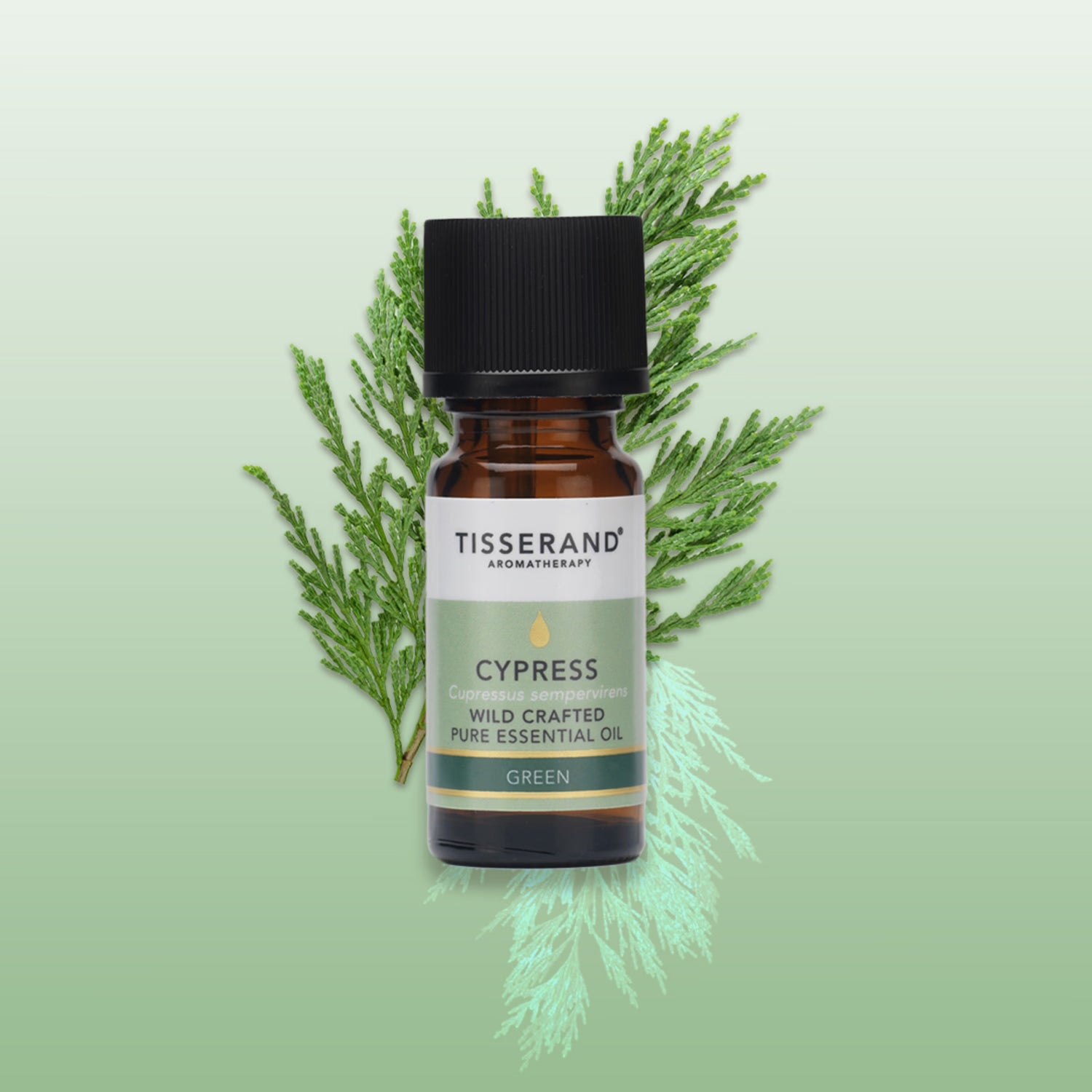 Tisserand Cypress Wild Crafted Pure Essential Oil 9ml (British brand)