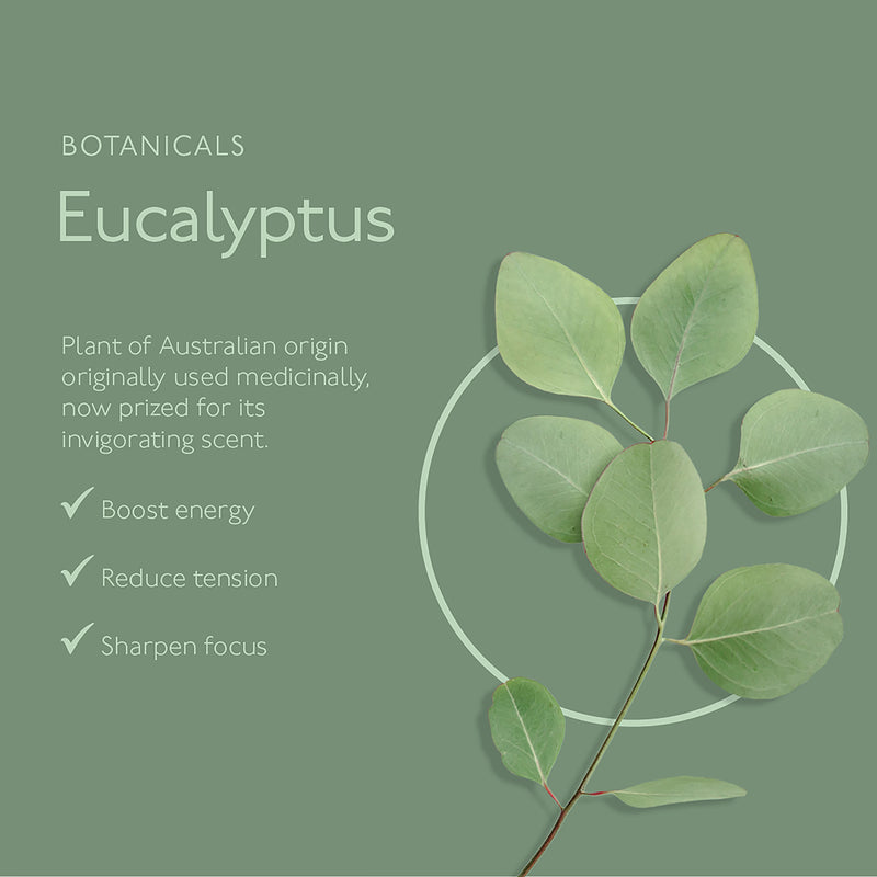 ARRAN Naturals Awaken Mint & Eucalyptus Soap 150g, UK version