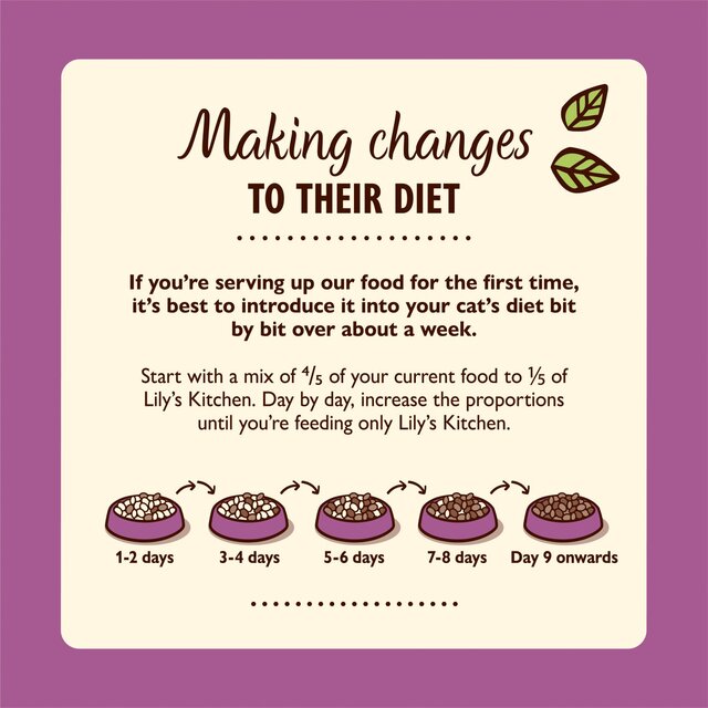 Lily's Kitchen Chicken & Cod with Shrimp Pate for Mature Cats   85g - McGrocer