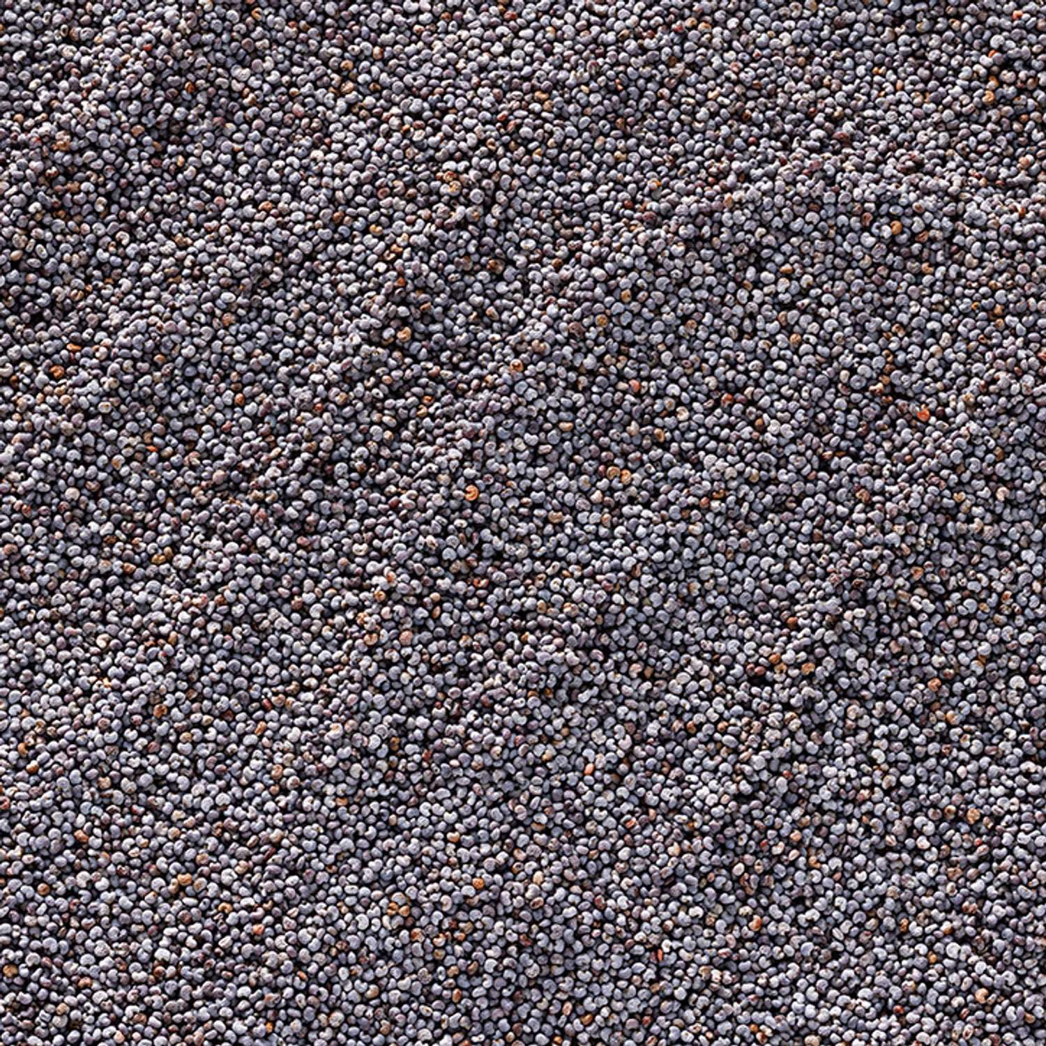 Holland & Barrett Poppy Seeds 200g, UK version